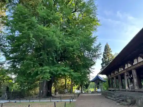 新宮熊野神社(福島県)