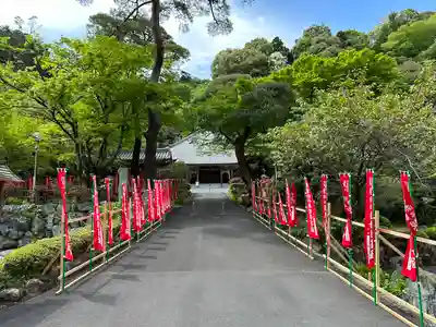 高乗寺の自然