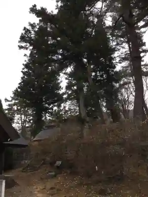 皇大神社(真田御屋敷跡)の自然