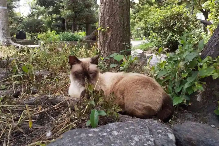 濃飛護國神社(岐阜県)