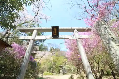 八王寺の鳥居