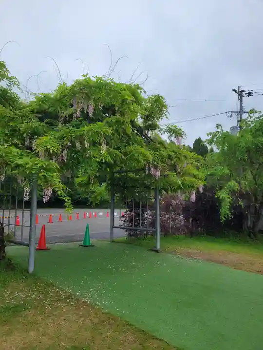 和気神社(鹿児島県)
