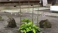 常陸第三宮 吉田神社の自然