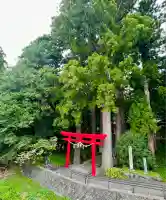 須山浅間神社(静岡県)