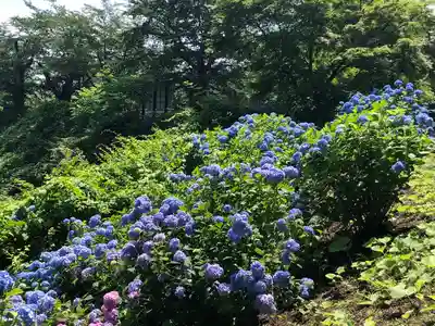 糠部神社(青森県)