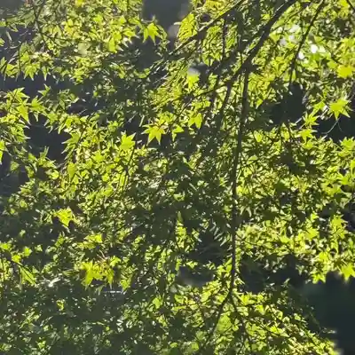 伊勢の国 四天王寺(三重県)