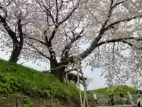 松前神社(北海道)