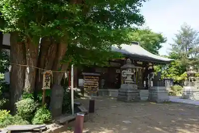 登渡神社のその他建物