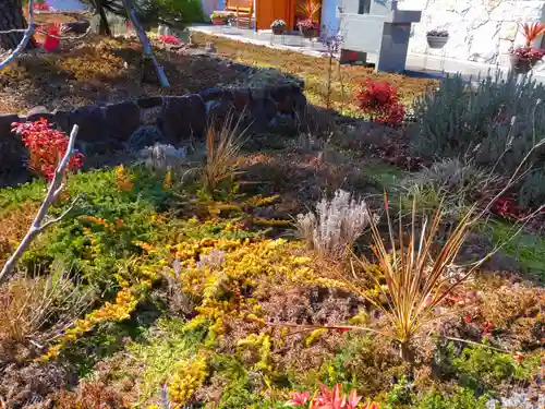 寿量山　速成寺(奈良県)
