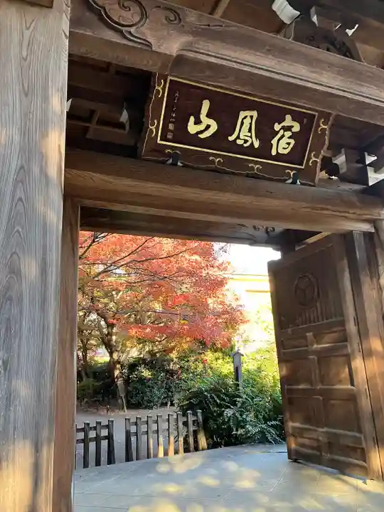 高円寺(東京都)