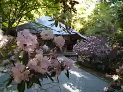 室生寺の自然