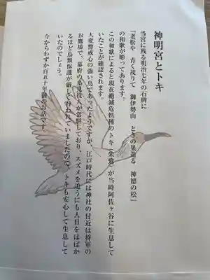 阿佐ヶ谷神明宮(東京都)