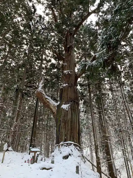 志和稲荷神社の自然