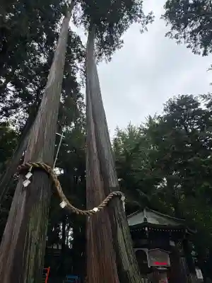 豊川閣　妙厳寺の{uncategorized: "未分類", other: "その他", undefined: "問題あり", building: "その他建物", grave: "お墓", sacred_gate: "鳥居", guardian: "狛犬", statue: "像", buddha: "仏像", history: "歴史", nature: "自然", garden: "庭園", animal: "動物", pagoda: "塔", temizu: "手水舎", mountain_gate: "山門・神門", sanctuary: "本殿・本堂", subordinate: "末社・摂社", art: "芸術", scenery: "景色", jizo: "地蔵", ema: "絵馬", goshuin: "御朱印", omikuji: "おみくじ", items: "授与品その他", amulet: "お守り", goshuincho: "御朱印帳", eats: "食事", festival: "お祭り", votive_dance: "神楽", shichigosan: "七五三参", wedding: "結婚式", experience: "体験その他", initially: "初詣", around: "周辺", anti_infection: "感染症対策"}