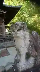 金刀比羅神社 尾張分社の狛犬