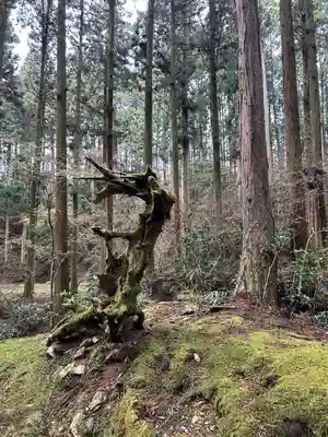 御岩神社(茨城県)