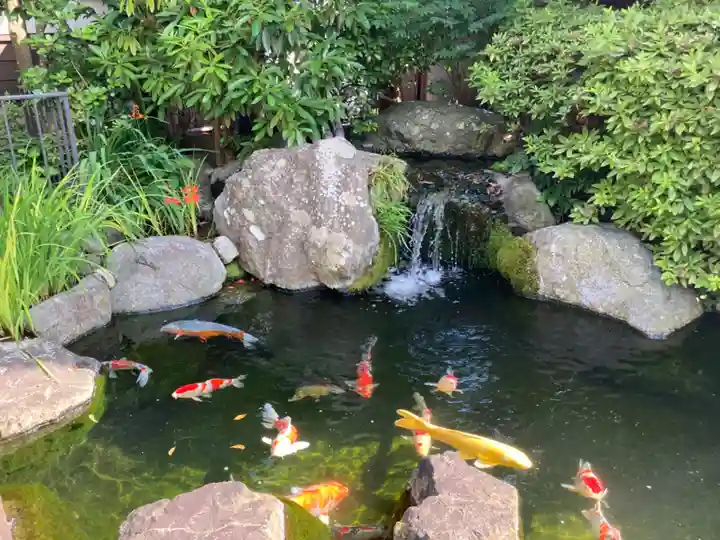 雲頂庵(神奈川県)