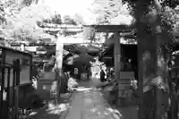 白雲神社の鳥居