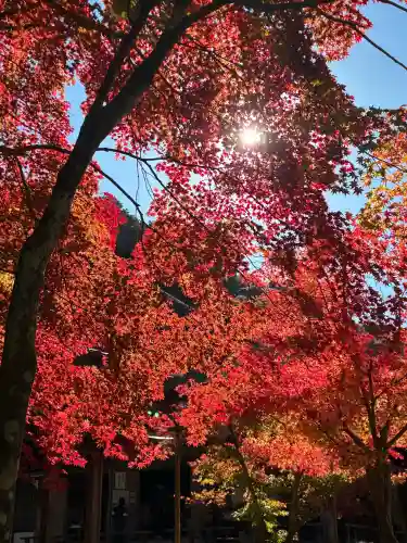 西明寺の{uncategorized: "未分類", other: "その他", undefined: "問題あり", building: "その他建物", grave: "お墓", sacred_gate: "鳥居", guardian: "狛犬", statue: "像", buddha: "仏像", history: "歴史", nature: "自然", garden: "庭園", animal: "動物", pagoda: "塔", temizu: "手水舎", mountain_gate: "山門・神門", sanctuary: "本殿・本堂", subordinate: "末社・摂社", art: "芸術", scenery: "景色", jizo: "地蔵", ema: "絵馬", goshuin: "御朱印", omikuji: "おみくじ", items: "授与品その他", amulet: "お守り", goshuincho: "御朱印帳", eats: "食事", festival: "お祭り", votive_dance: "神楽", shichigosan: "七五三参", wedding: "結婚式", experience: "体験その他", initially: "初詣", around: "周辺", anti_infection: "感染症対策"}