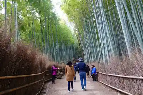 野宮神社の自然