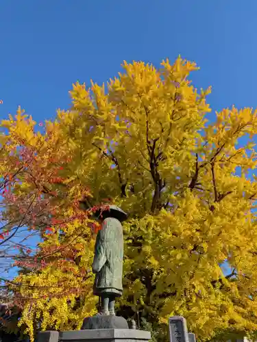 善福寺(東京都)