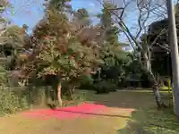 蓑毛神社の自然