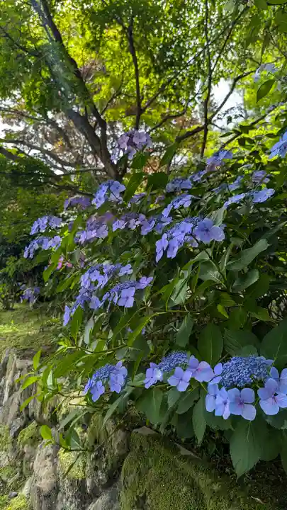 正法寺(京都府)
