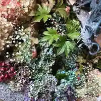 札幌諏訪神社の手水舎