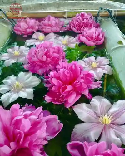 立志神社の手水舎