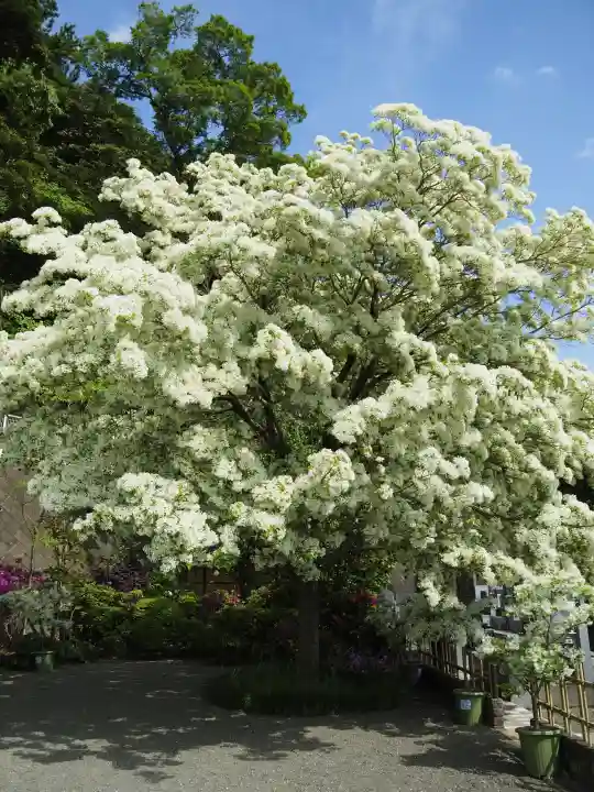 成就院の{uncategorized: "未分類", other: "その他", undefined: "問題あり", building: "その他建物", grave: "お墓", sacred_gate: "鳥居", guardian: "狛犬", statue: "像", buddha: "仏像", history: "歴史", nature: "自然", garden: "庭園", animal: "動物", pagoda: "塔", temizu: "手水舎", mountain_gate: "山門・神門", sanctuary: "本殿・本堂", subordinate: "末社・摂社", art: "芸術", scenery: "景色", jizo: "地蔵", ema: "絵馬", goshuin: "御朱印", omikuji: "おみくじ", items: "授与品その他", amulet: "お守り", goshuincho: "御朱印帳", eats: "食事", festival: "お祭り", votive_dance: "神楽", shichigosan: "七五三参", wedding: "結婚式", experience: "体験その他", initially: "初詣", around: "周辺", anti_infection: "感染症対策"}