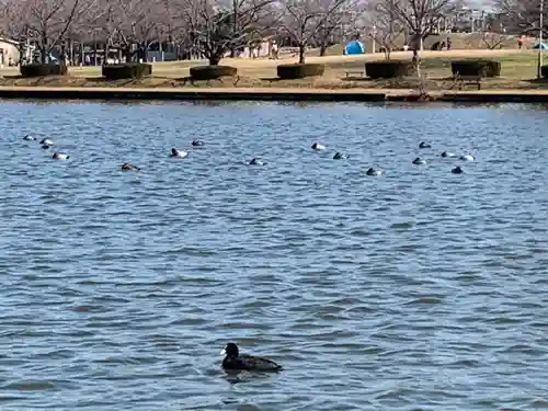 香取神社の周辺