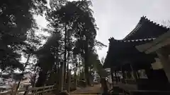 大歳神社(兵庫県)