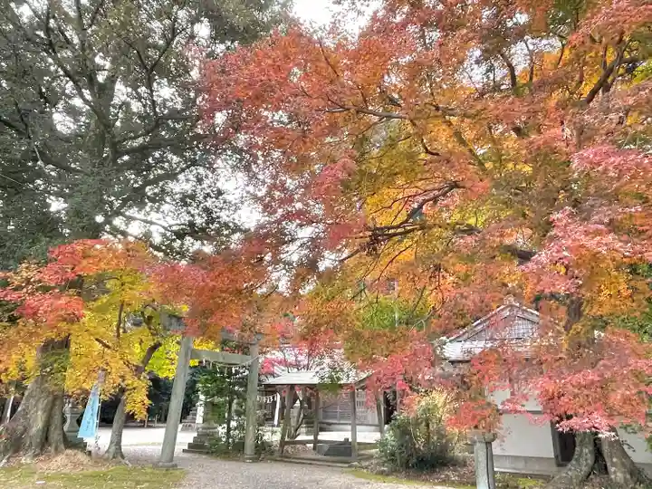布氣皇舘太神社の自然