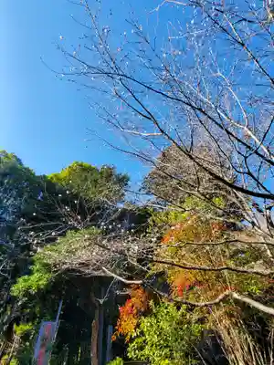 開成山大神宮(福島県)