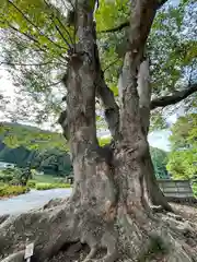 諏訪大社上社前宮(長野県)