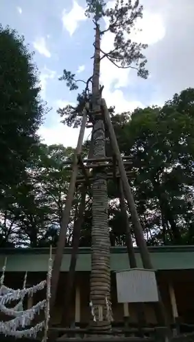 荻窪八幡神社の自然