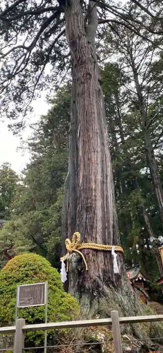 北口本宮冨士浅間神社(山梨県)