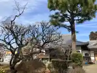 永福寺の{uncategorized: "未分類", other: "その他", undefined: "問題あり", building: "その他建物", grave: "お墓", sacred_gate: "鳥居", guardian: "狛犬", statue: "像", buddha: "仏像", history: "歴史", nature: "自然", garden: "庭園", animal: "動物", pagoda: "塔", temizu: "手水舎", mountain_gate: "山門・神門", sanctuary: "本殿・本堂", subordinate: "末社・摂社", art: "芸術", scenery: "景色", jizo: "地蔵", ema: "絵馬", goshuin: "御朱印", omikuji: "おみくじ", items: "授与品その他", amulet: "お守り", goshuincho: "御朱印帳", eats: "食事", festival: "お祭り", votive_dance: "神楽", shichigosan: "七五三参", wedding: "結婚式", experience: "体験その他", initially: "初詣", around: "周辺", anti_infection: "感染症対策"}