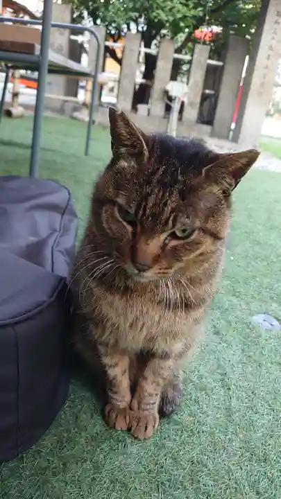 露天神社(お初天神)(大阪府)