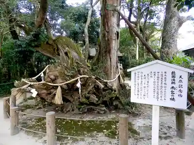 大山祇神社(愛媛県)