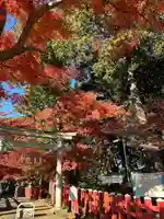 麻賀多神社奥宮(千葉県)