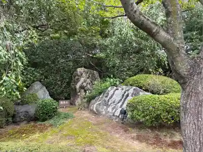 退蔵院(京都府)