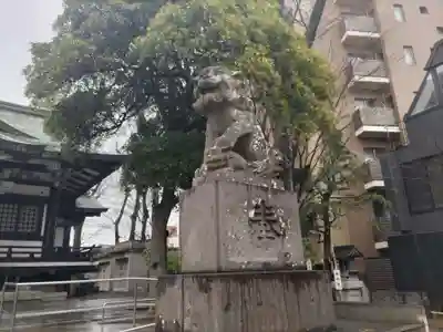 亀有香取神社の狛犬