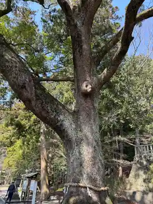 事任八幡宮(静岡県)