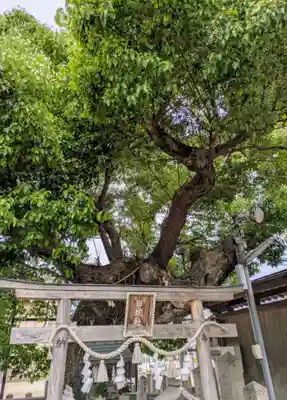 石津太神社(大阪府)