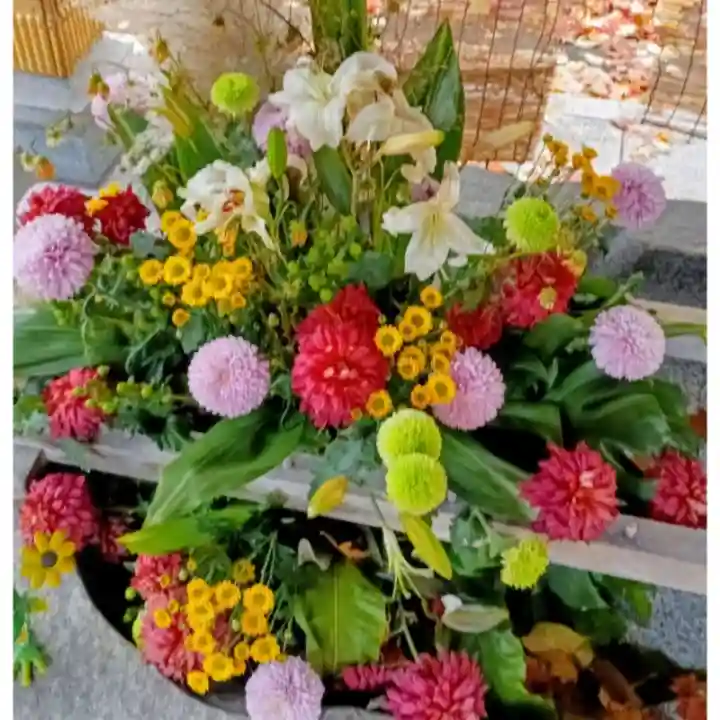彌彦神社 (伊夜日子神社)(北海道)
