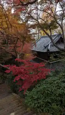 観音寺（山崎聖天）(京都府)