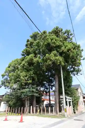 斐伊神社(島根県)