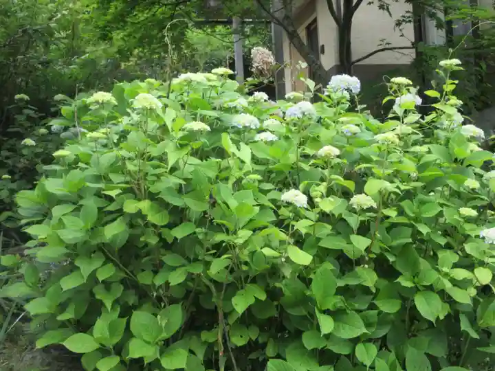 法雲寺(埼玉県)