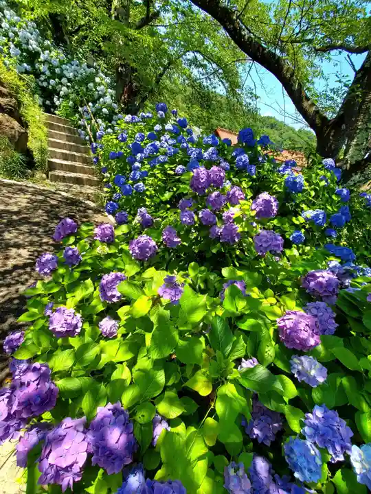 白和瀬神社(福島県)